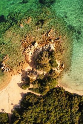 Μαθήματα μακροζωίας από τους κάτοικους της Σαρδηνίας