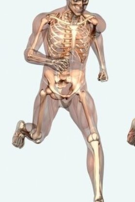 Τα τρόφιμα που τρώμε καθημερινά και βλάπτουν την υγεία των οστών